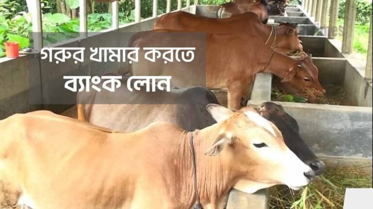 গরুর খামার করতে ব্যাংক লোন ২০২৪